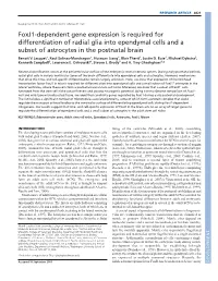 Foxj1-Dependent Gene Expression Is Required for Differentiation of Radial Glia Into Ependymal Cells and a Subset of Astrocytes in the Postnatal Brain Benoit V