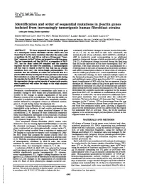 Identification and Order of Sequential Mutations in F8-Actin Genes Isolated