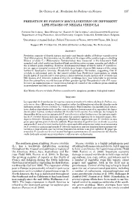 Predation by Podisus Maculiventris on Different Life Stages of Nezara Viridula
