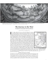 The Journey to the West a Platform for Learning About China Past and Present