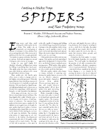 Casting a Sticky Trap: SPIDERS and Their Predatory Ways