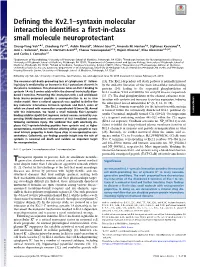 Defining the Kv2.1–Syntaxin Molecular Interaction Identifies a First-In-Class Small Molecule Neuroprotectant