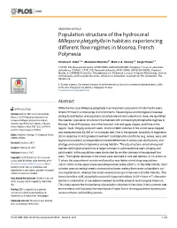 Population Structure of the Hydrocoral Millepora Platyphylla in Habitats Experiencing Different Flow Regimes in Moorea, French Polynesia