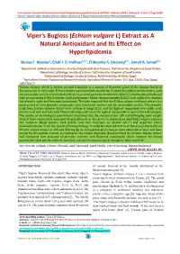 Viper's Bugloss (Echium Vulgare L) Extract As a Natural Antioxidant and Its Effect on Hyperlipidemia