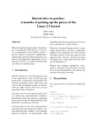 Buried Alive in Patches: 6 Months of Picking up the Pieces of the Linux 2.5 Kernel