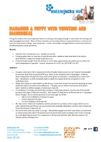 Managing a Puppy with Vomiting and Diarrhoea!