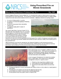 Using Prescribed Fire on Illinois Grasslands
