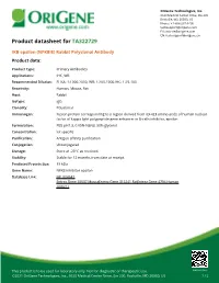 IKB Epsilon (NFKBIE) Rabbit Polyclonal Antibody Product Data