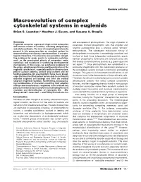 Macroevolution of Complex Cytoskeletal Systems in Euglenids Brian S