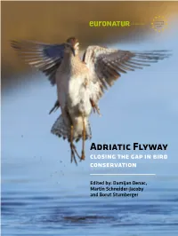Adriatic Flyway – Closing the Gap in Bird Conservation Preface
