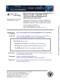 Mycobacterium Tuberculosis Activation Following Stimulation by T Cell +