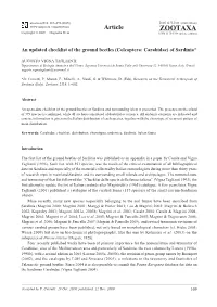 Zootaxa, an Updated Checklist of the Ground Beetles