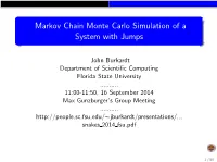 Markov Chain Monte Carlo Simulation of a System with Jumps