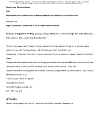 Neuroligin3 Splice Isoforms Shape Mouse Hippocampal Inhibitory Synaptic Function