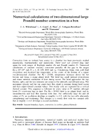 Numerical Calculations of Two-Dimensional Large Prandtl Number Convection in a Box