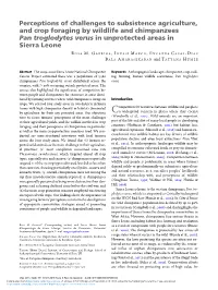 Perceptions of Challenges to Subsistence Agriculture, and Crop Foraging by Wildlife and Chimpanzees Pan Troglodytes Verus in Unprotected Areas in Sierra Leone