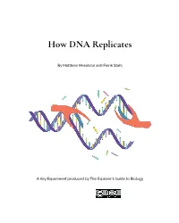 How DNA Replicates