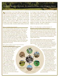 Soil Carbon Sequestration Is a Win-Win in Sequestering Carbon
