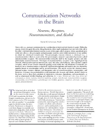 Communication Networks in the Brain
