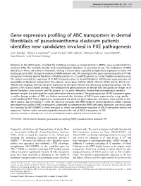 Gene Expression Profiling of ABC Transporters in Dermal Fibroblasts Of