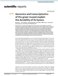 Genomics and Transcriptomics of the Green Mussel Explain the Durability