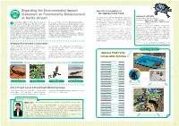 Regarding the Environmental Impact Statement on Functionality