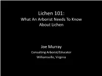 Lichen 101: What an Arborist Needs to Know About Lichen