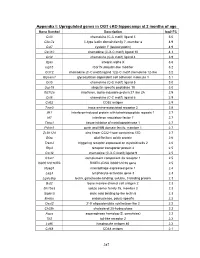 PDF (Appendices)