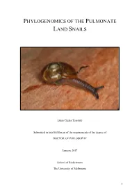 Phylogenomics of the Pulmonate Land Snails