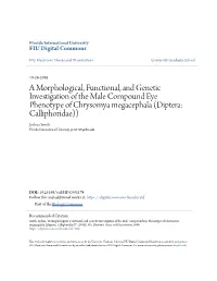 A Morphological, Functional, and Genetic