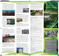 Geologic Boulder Map of Campus Has Been Created As an Educational Educational an As Created Been Has Campus of Map Boulder Geologic The