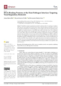 RNA-Binding Proteins at the Host-Pathogen Interface Targeting Viral Regulatory Elements