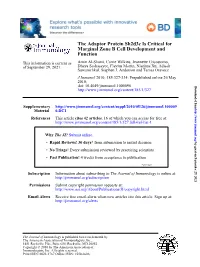 Function Marginal Zone B Cell Development and the Adaptor