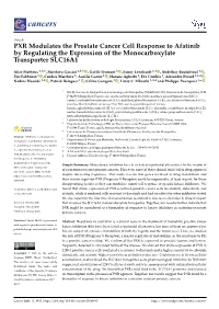 PXR Modulates the Prostate Cancer Cell Response to Afatinib by Regulating the Expression of the Monocarboxylate Transporter SLC16A1