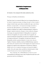 The Noble Stack of Auspiciousness Sutra Together with Its Ritual Procedure Is Complete