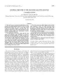 Central Circuitry in the Jellyfish Aglantha Digitale