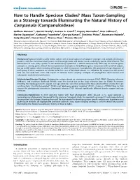 How to Handle Speciose Clades? Mass Taxon-Sampling As a Strategy Towards Illuminating the Natural History of Campanula (Campanuloideae)