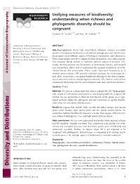 Unifying Measures of Biodiversity: Understanding When Richness And