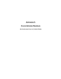 Appendix I: Focus Species Profiles