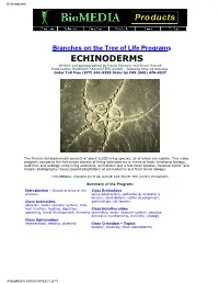 Biology of Echinoderms