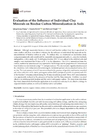 Evaluation of the Influence of Individual Clay Minerals on Biochar