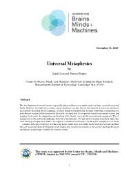 Universal Metaphysics by Qianli Liao and Tomaso Poggio