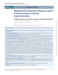 Behavioral Mechanism of Human Sperm in Thermotaxis: a Role for Hyperactivation
