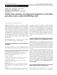 Isolation, Tissue Expression, and Chromosomal Assignment of a Novel Human Gene Which Encodes a Protein with RING ﬁnger Motif