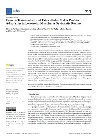 Exercise Training-Induced Extracellular Matrix Protein Adaptation in Locomotor Muscles: a Systematic Review