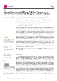Aberrant Expression of ZIP and Znt Zinc Transporters in Urotsa Cells Transformed to Malignant Cells by Cadmium