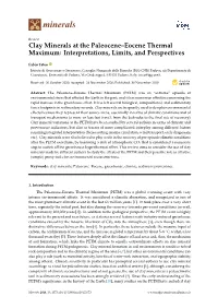 Clay Minerals at the Paleocene–Eocene Thermal Maximum: Interpretations, Limits, and Perspectives