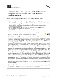 Morphometric, Hemodynamic, and Multi-Omics Analyses in Heart Failure Rats with Preserved Ejection Fraction