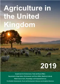 Agriculture in the UK 2019
