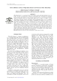 Anti-Urolithiatic Activity of Filipendula Ulmaria Leaf Extracts in Male Albino Rats